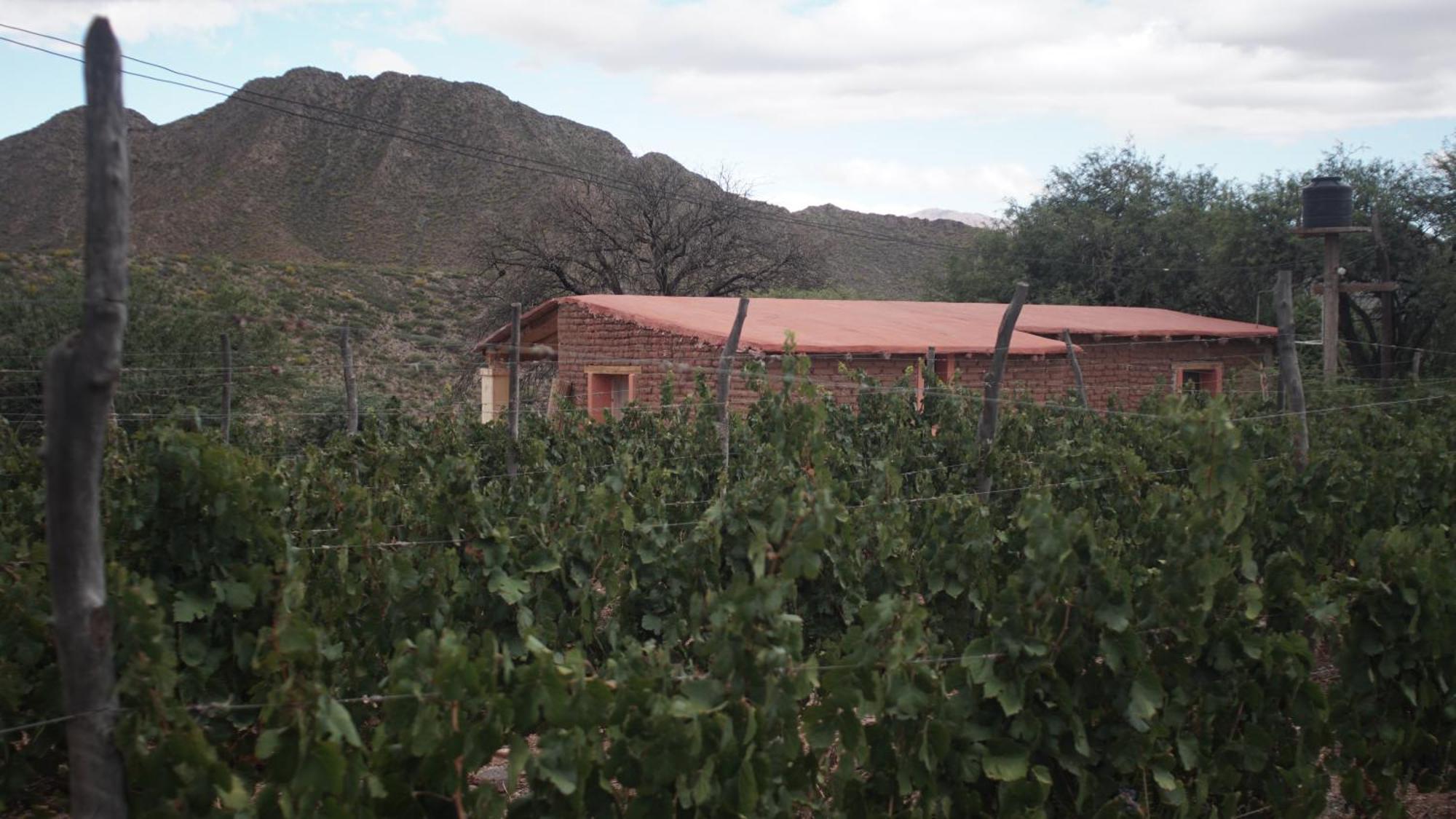 Hospedaje Finca La Encantada Seclantas Ngoại thất bức ảnh